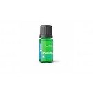 Aqua Top Coat 10ml